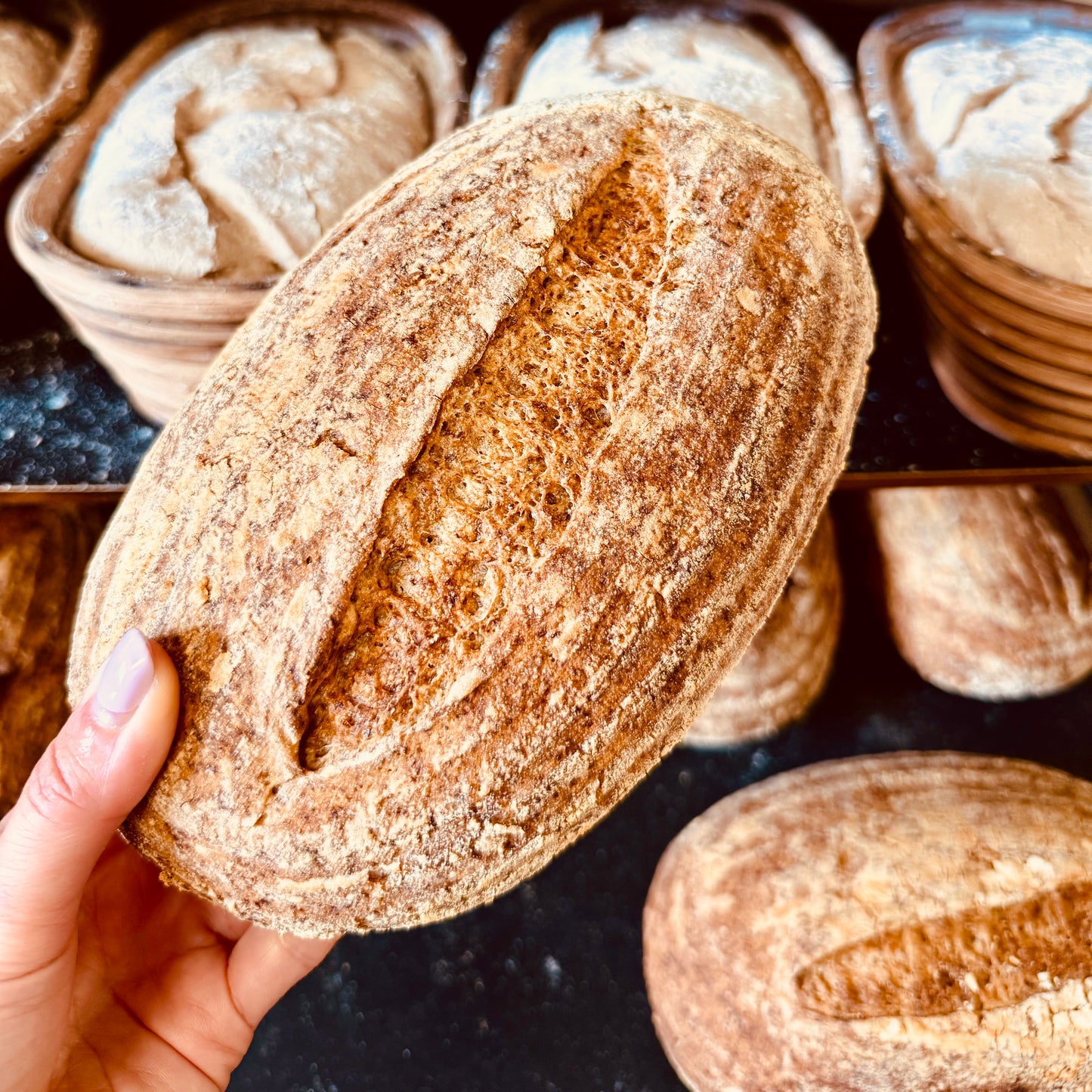 Gluten-free & Vegan Sourdough Bread