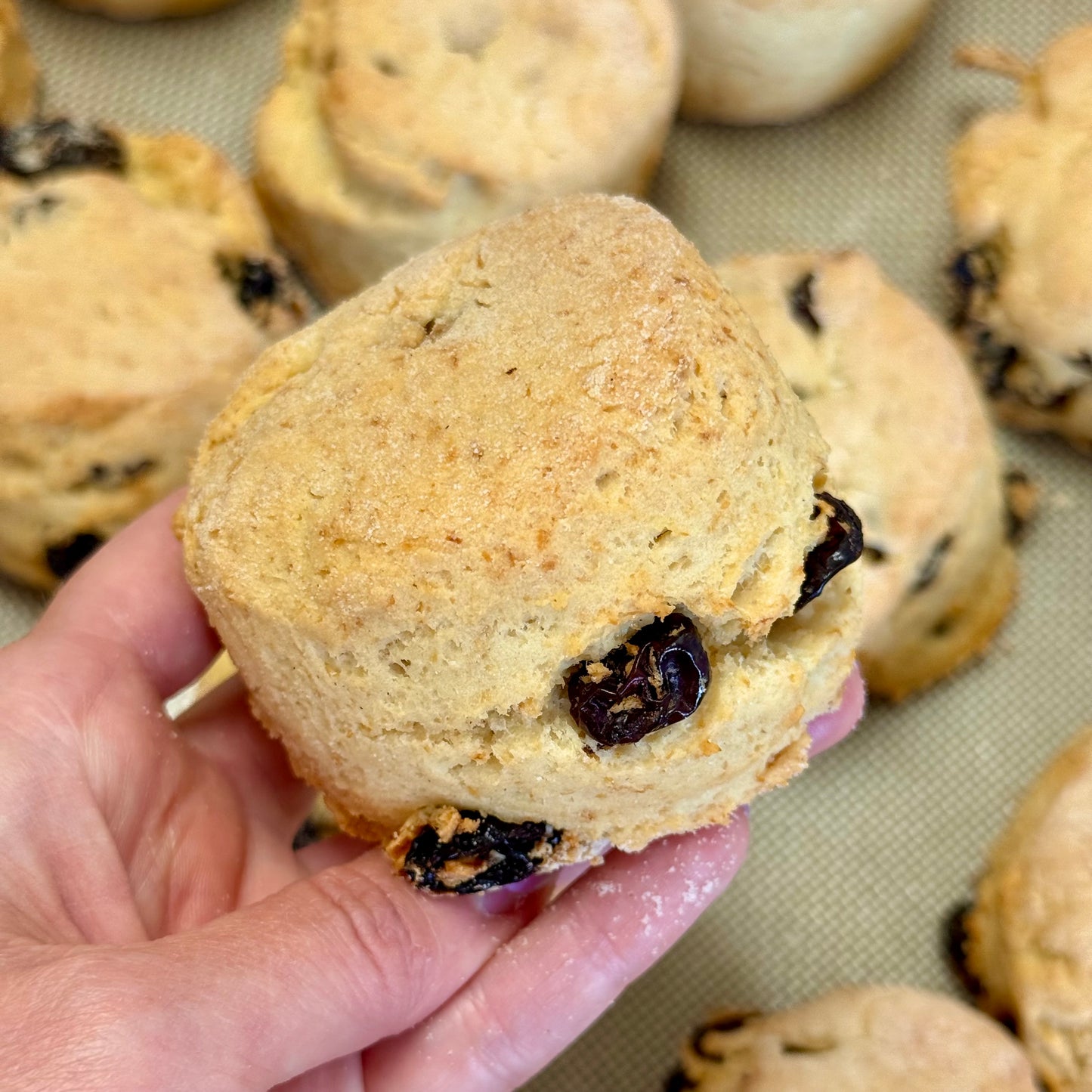 Gluten-free & Vegan Fruit Scones