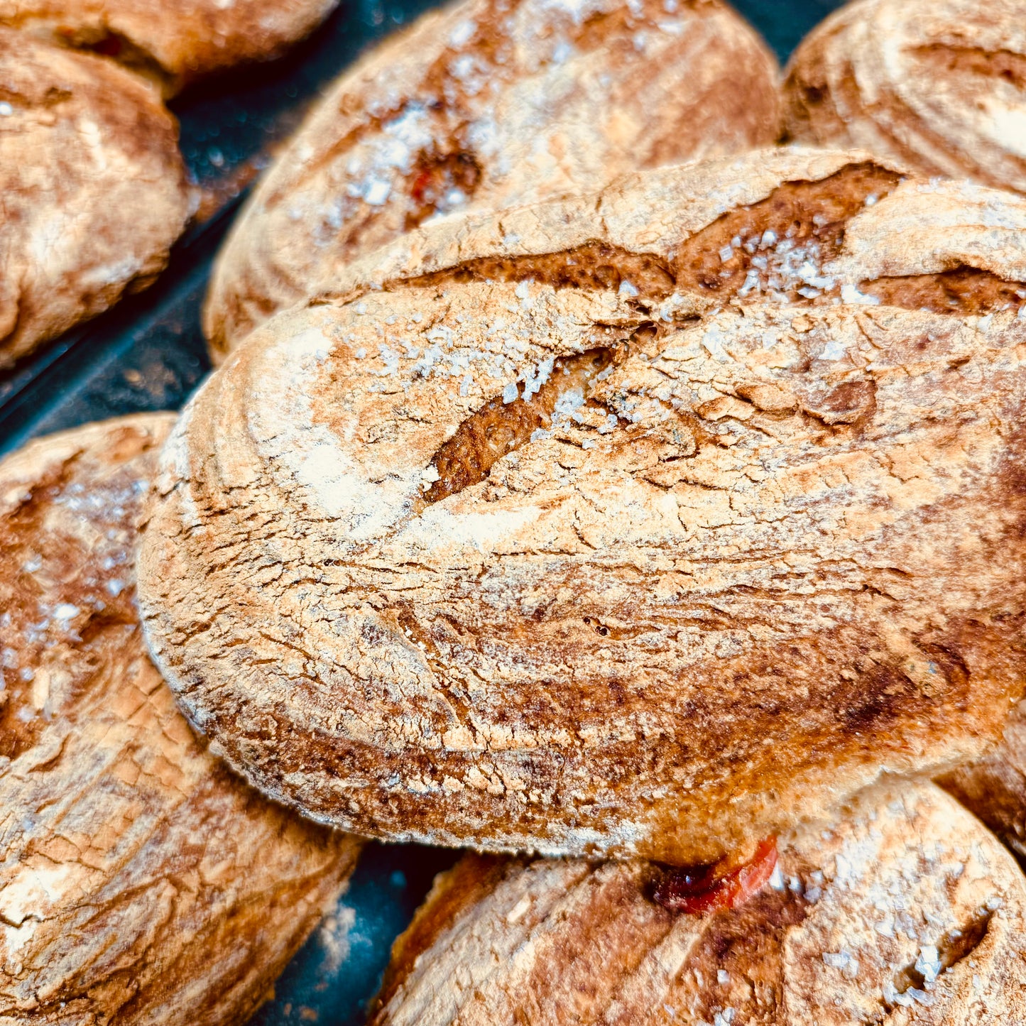 Gluten-free & Vegan Chilli and Sea Salt Sourdough Bread